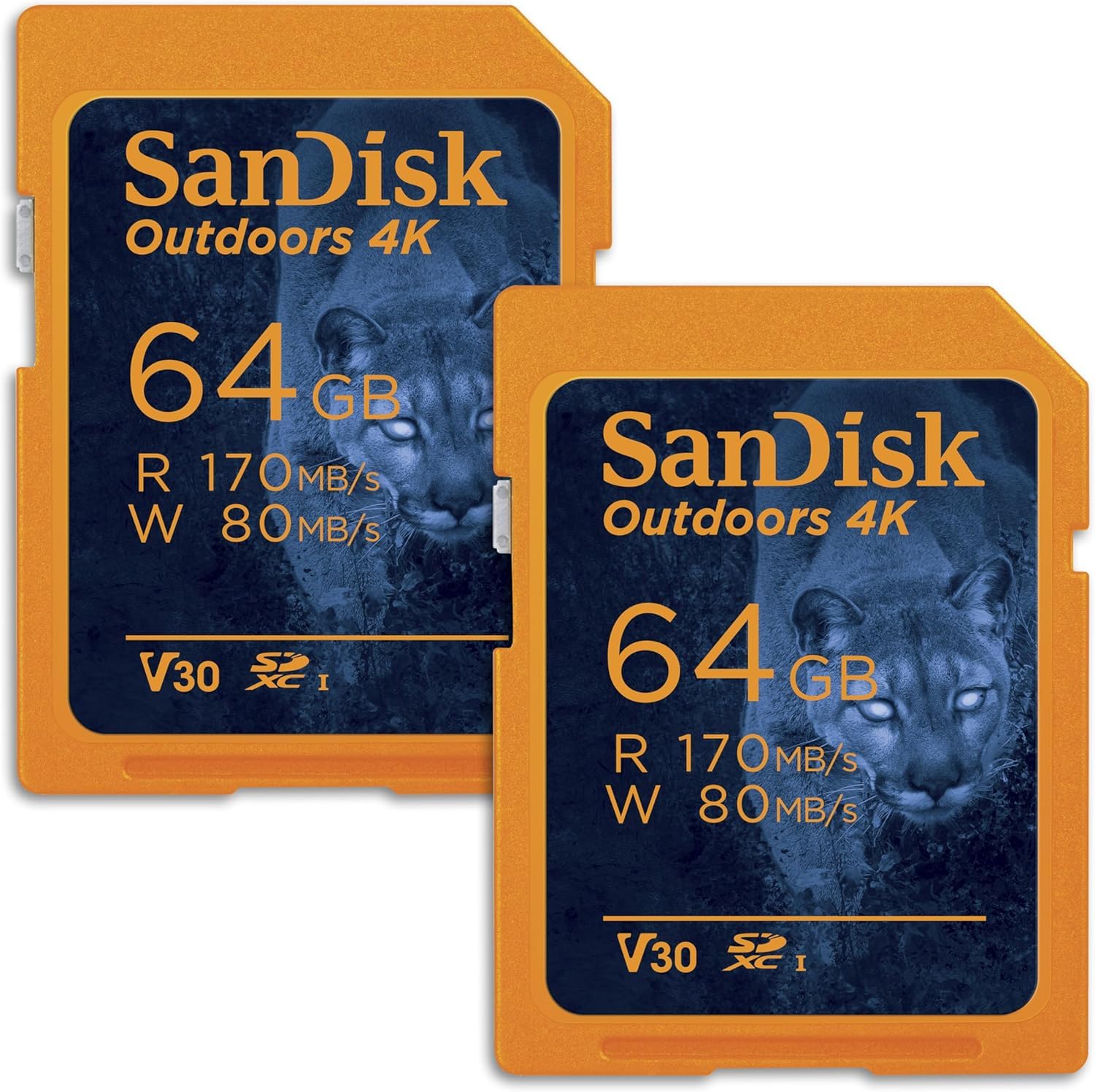 Amazon.com: SANDISK 64GB 2-Pack Outdoors 4K SDXC UHS-I Memory Card
